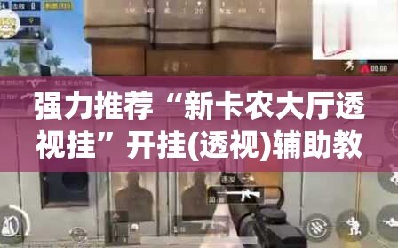 强力推荐“新卡农大厅透视挂”开挂(透视)辅助教程