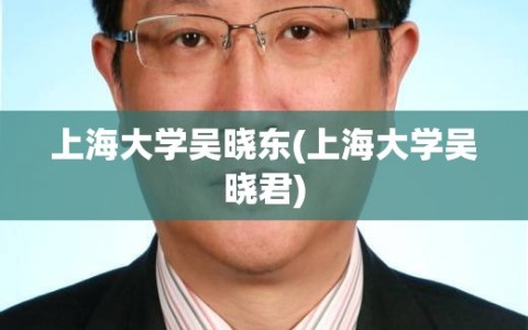 上海大学吴晓东(上海大学吴晓君)