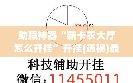 助赢神器“新卡农大厅怎么开挂”开挂(透视)最新辅助详细