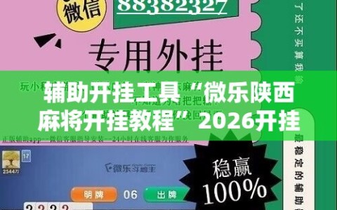 辅助开挂工具“微乐陕西麻将开挂教程”2026开挂教程步骤