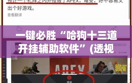 一键必胜“哈狗十三道开挂辅助软件”(透视)其实确实有挂