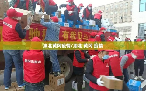 湖北黄冈疫情/湖北 黄冈 疫情