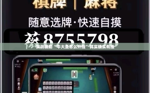 实测辅助“牛大圣怎么开挂”其实确实有挂