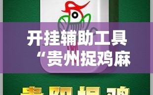 开挂辅助工具“贵州捉鸡麻将外卦辅助软件下载”开挂详细教程