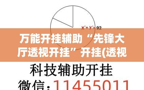 万能开挂辅助“先锋大厅透视开挂”开挂(透视)辅助教程