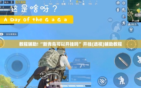 教程辅助!“新青鸟可以开挂吗”开挂(透视)辅助教程
