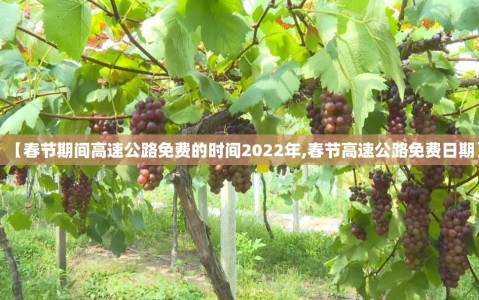 【春节期间高速公路免费的时间2022年,春节高速公路免费日期】