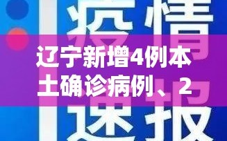 辽宁新增4例本土确诊病例、2例本土无症状/辽宁新增2例本土确诊 新增6例本土无症状