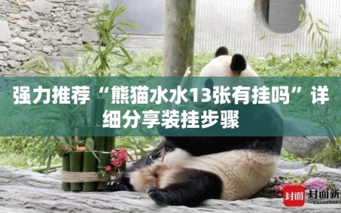 强力推荐“熊猫水水13张有挂吗”详细分享装挂步骤