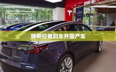 特斯拉被划车开国产车