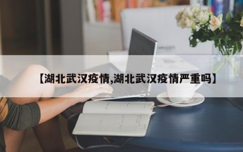 【湖北武汉疫情,湖北武汉疫情严重吗】