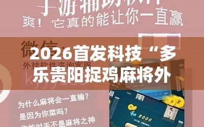 2026首发科技“多乐贵阳捉鸡麻将外卦辅助软件下载”详细分享装挂步骤