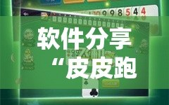 软件分享“皮皮跑胡子开挂神器”开挂详细教程