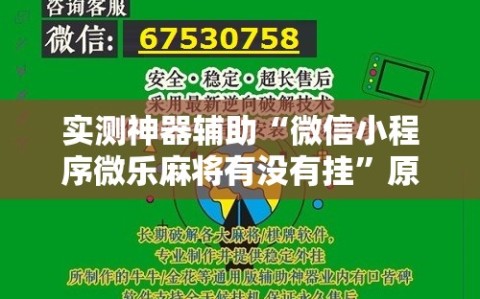 实测神器辅助“微信小程序微乐麻将有没有挂”原来可以开挂
