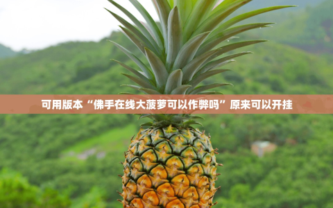 可用版本“佛手在线大菠萝可以作弊吗”原来可以开挂