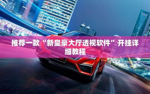 推荐一款“新皇豪大厅透视软件”开挂详细教程