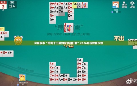 可用版本“哈狗十三道如何拿到好牌”2026开挂教程步骤