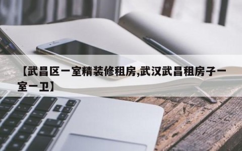 【武昌区一室精装修租房,武汉武昌租房子一室一卫】