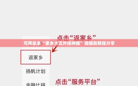 可用版本“家乡大贰外挂神器”细辅助教程分享