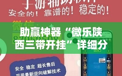 助赢神器“微乐陕西三带开挂”详细分享装挂步骤