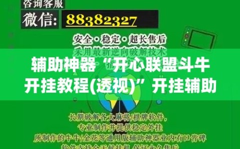 辅助神器“开心联盟斗牛开挂教程(透视)”开挂辅助脚本+详细开挂安装教程