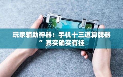 玩家辅助神器：手机十三道算牌器”其实确实有挂