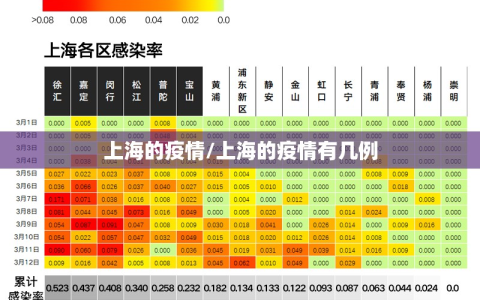上海的疫情/上海的疫情有几例
