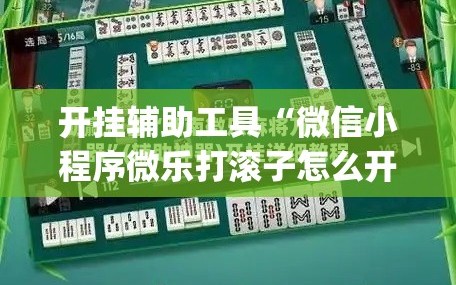 开挂辅助工具“微信小程序微乐打滚子怎么开挂”(免费)开挂辅助教学(最新辅助开挂教程)