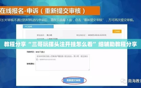 教程分享“三哥玩摆头注开挂怎么看”细辅助教程分享