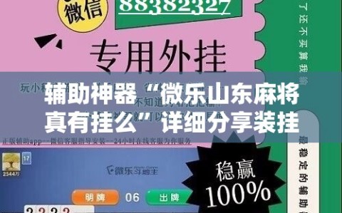 辅助神器“微乐山东麻将真有挂么”详细分享装挂步骤