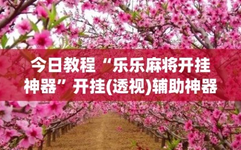 今日教程“乐乐麻将开挂神器”开挂(透视)辅助神器