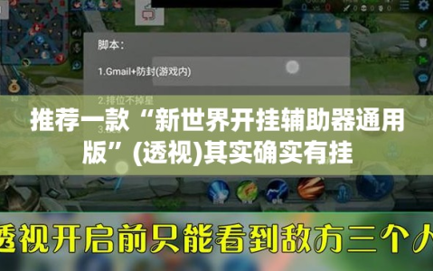 推荐一款“新世界开挂辅助器通用版”(透视)其实确实有挂