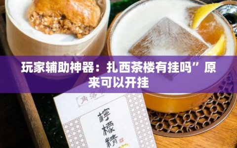 玩家辅助神器：扎西茶楼有挂吗”原来可以开挂