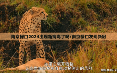 南京禄口2024出现新病毒了吗/南京禄口发现新冠