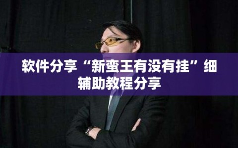软件分享“新蛮王有没有挂”细辅助教程分享
