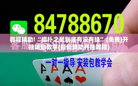 教程辅助!“德扑之星到底有没有挂”(免费)开挂辅助教学(最新辅助开挂教程)