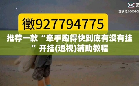 推荐一款“牵手跑得快到底有没有挂”开挂(透视)辅助教程