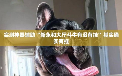 实测神器辅助“新永和大厅斗牛有没有挂”其实确实有挂