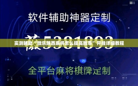 实测辅助“微乐陕西麻将怎么提高胜率”开挂详细教程