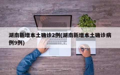湖南新增本土确诊2例(湖南新增本土确诊病例9例)