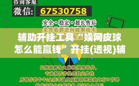 辅助开挂工具“娱网皮球怎么能赢钱”开挂(透视)辅助教程