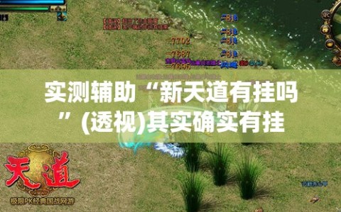 实测辅助“新天道有挂吗”(透视)其实确实有挂