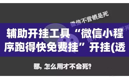 辅助开挂工具“微信小程序跑得快免费挂”开挂(透视)最新辅助详细