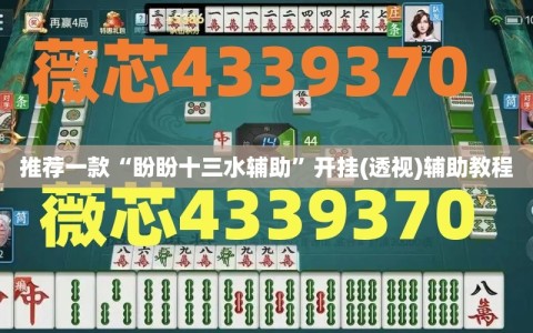 推荐一款“盼盼十三水辅助”开挂(透视)辅助教程