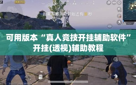 可用版本“真人竞技开挂辅助软件”开挂(透视)辅助教程
