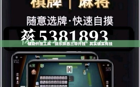 辅助开挂工具“微乐陕西三带开挂”其实确实有挂
