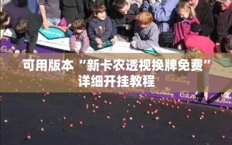 可用版本“新卡农透视换牌免费”详细开挂教程