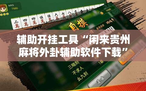 辅助开挂工具“闲来贵州麻将外卦辅助软件下载”详细开挂教程