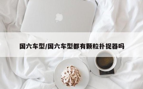 国六车型/国六车型都有颗粒扑捉器吗