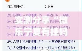 实测分享“微乐宁夏有挂吗”(透视挂)辅助下载教程